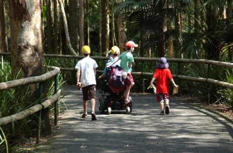 There are always upsides, including built-in transport for the boys on a day trip to Australia Zoo in November.