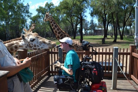 matthew-feeding-giraffe